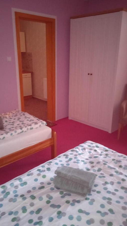 Penzion Na Podluží Josefov Zewnętrze zdjęcie
